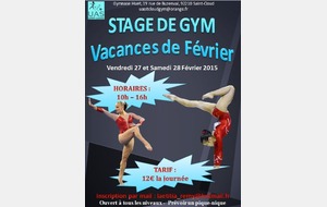 Stage de gym vacances de Février 2015