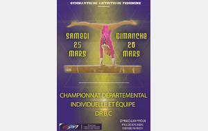 Championnat Départemental Equipe DR Libre 2