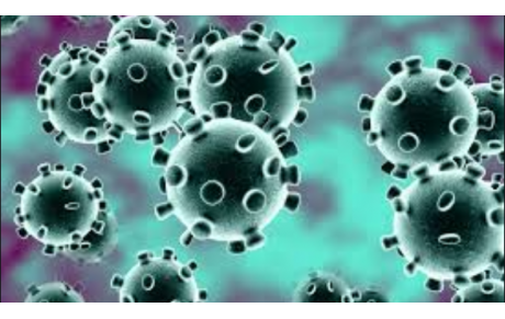 CORONAVIRUS